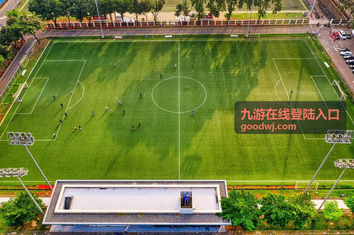 九游在线登陆入口多设备访问的环境准备示意